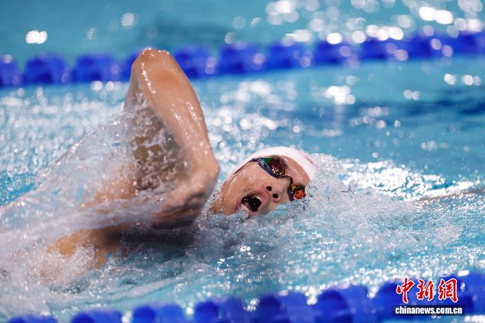 粤港澳全运会综合报道:泳池“多金王”持续闪